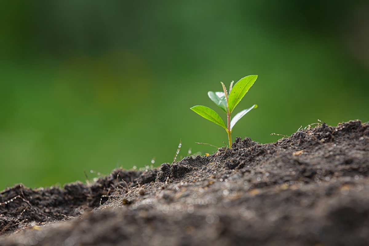 Nuestro compromiso para reducir la Huella de Carbono